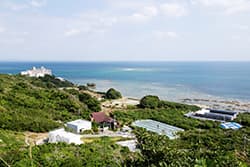 โอกินาว่า