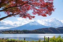 ยามานาชิ