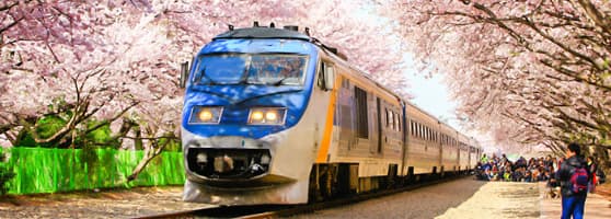 ประเทศยอดนิยม-เกาหลีใต้