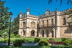 ซักดีดี้